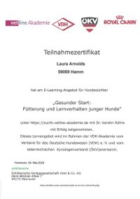 F&uuml;tterung und Lehrverhalten junger Hunde-1