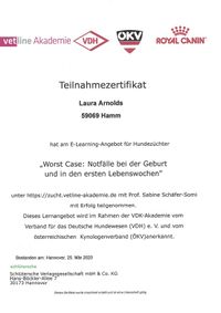 Hund Worst Case_page-0001